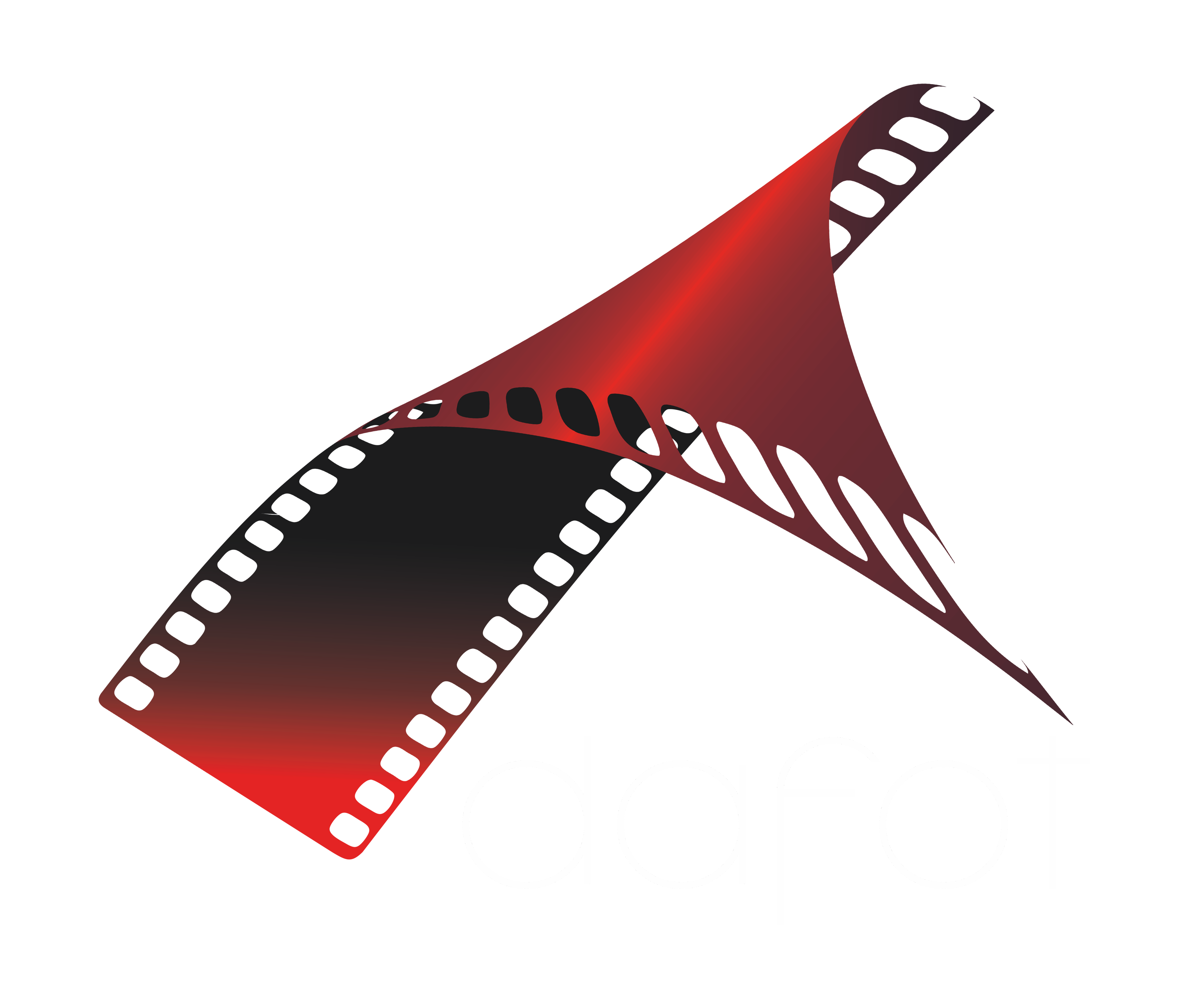 DAFOT  - Fotografia i Film